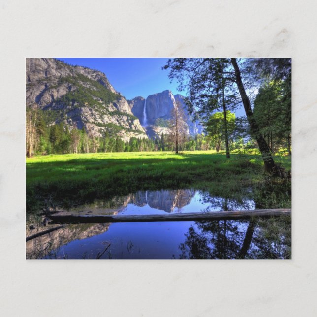 Carte Postale Réflections de cas (Devant)