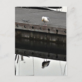 Carte Postale reflective Seagull
