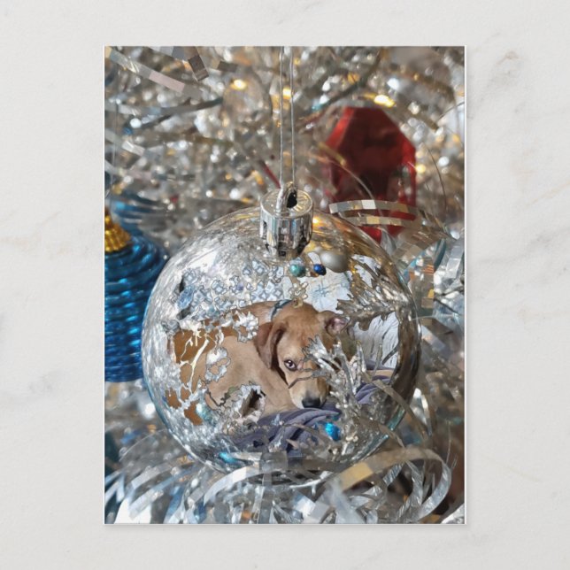 Carte Postale Reflet de l'ampoule en argent (Devant)