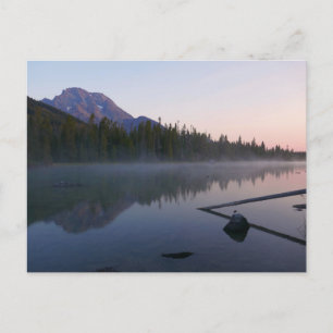 Carte Postale Reflet du lever de soleil à String Lake II