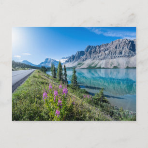 Carte Postale Reflets du lac Bow Banff montagne