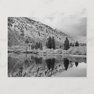 Carte postale Réflexion