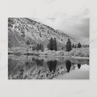 Carte postale Réflexion