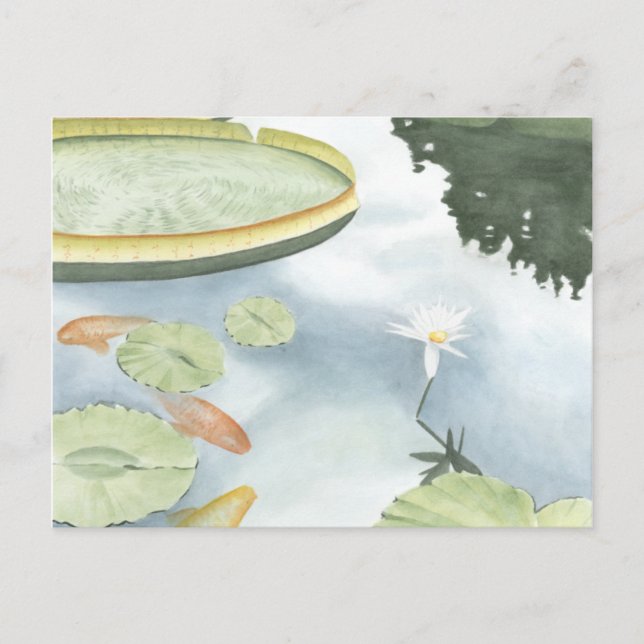 Carte Postale Réflexion de Koi Pond avec poissons et lys (Devant)