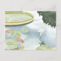 Réflexion de Koi Pond avec poissons et lys