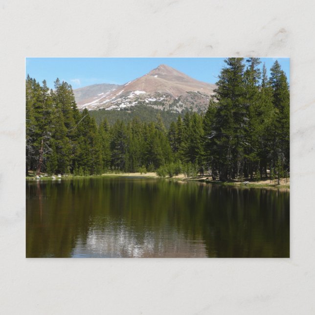 Carte Postale Réflexion du lac Yosemite (Devant)