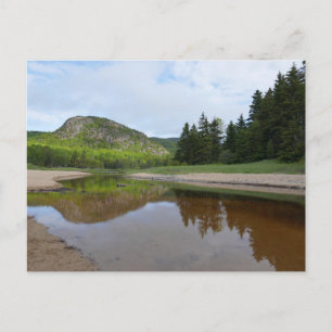 Carte Postale Réflexion sur la tête à Sand Beach