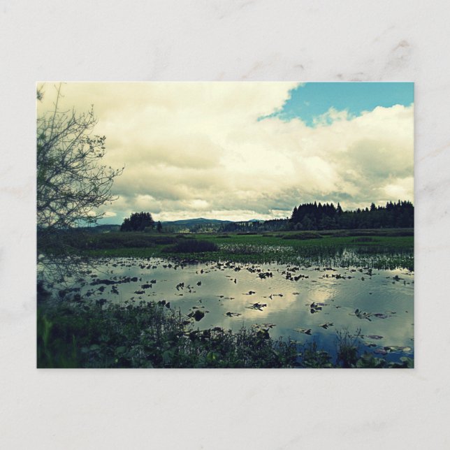 Carte Postale Réflexion sur les zones humides de Killin (Devant)