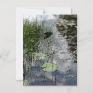 Carte Postale Réflexions au bord de l'eau