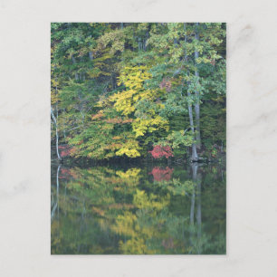 Carte Postale Réflexions d'automne