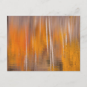 Carte Postale Réflexions d'automne sur Beaver Pond   Winthrop, W