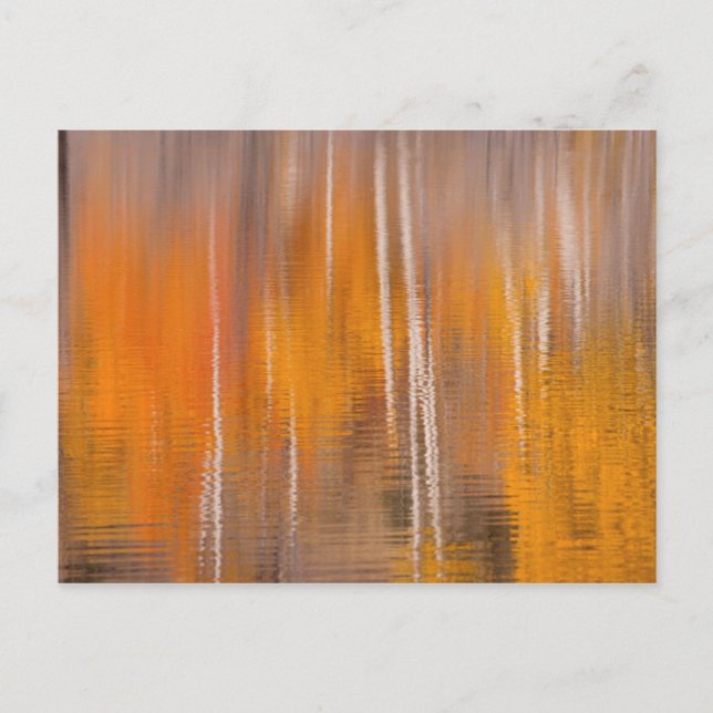 Carte Postale Réflexions d'automne sur Beaver Pond | Winthrop, W (Devant)