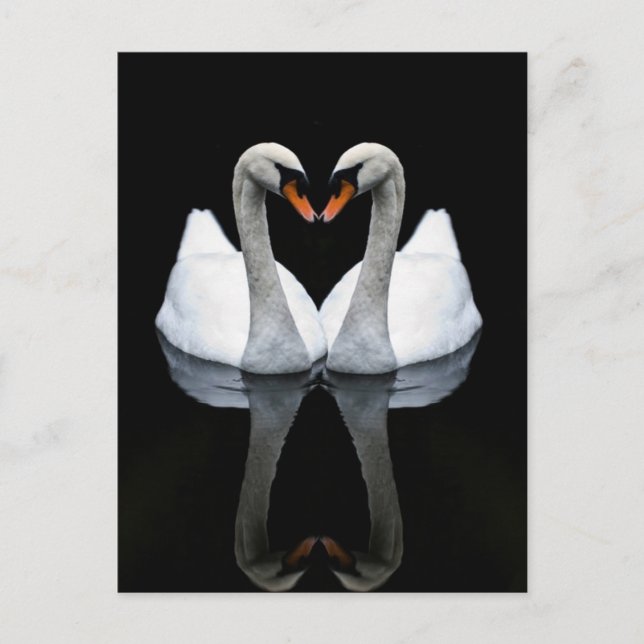 Carte Postale Réflexions de l'amour, forme du coeur, cygnes blan (Devant)