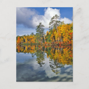 Carte Postale Réflexions de l'étang d'automne, Maine
