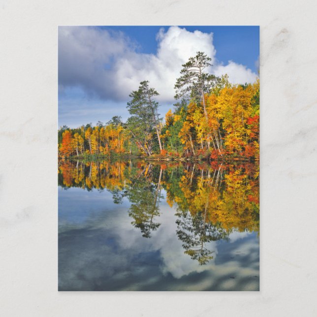 Carte Postale Réflexions de l'étang d'automne, Maine (Devant)