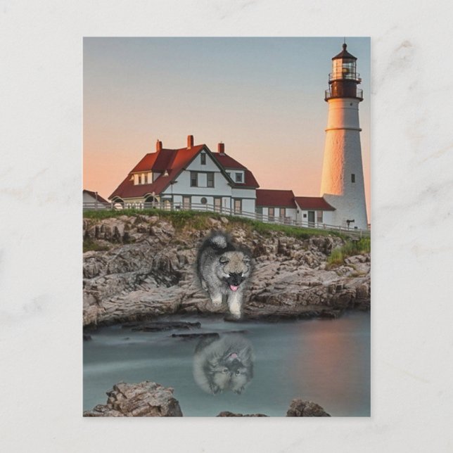 Carte Postale Réflexions de phare (Devant)