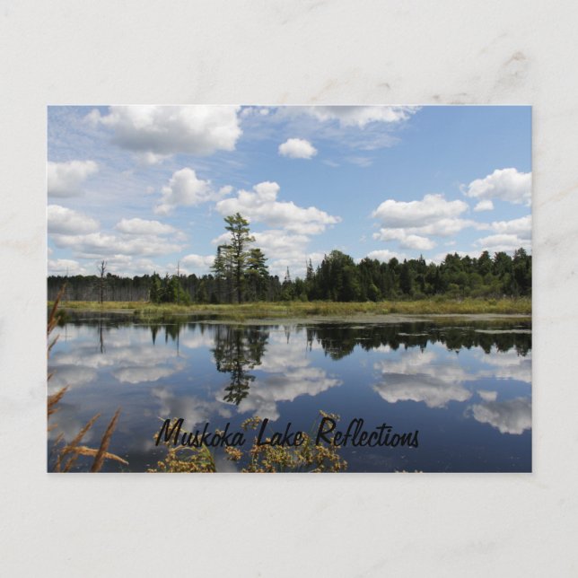Carte postale - Réflexions du lac Muskoka (Devant)