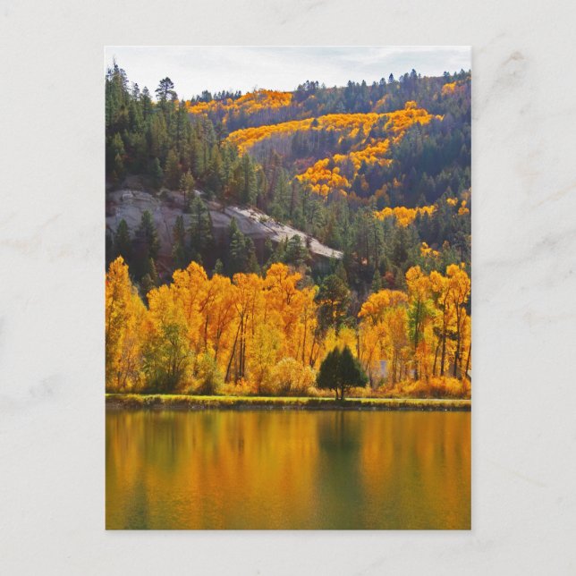 Carte Postale Réflexions sur l'automne à Dolores (Devant)