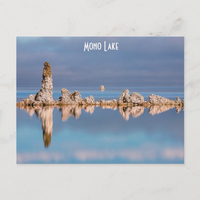 Carte Postale Réflexions sur le calcaire du lac Mono (Devant)