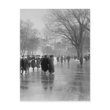 Réflexions Sur Le Pavé Humide