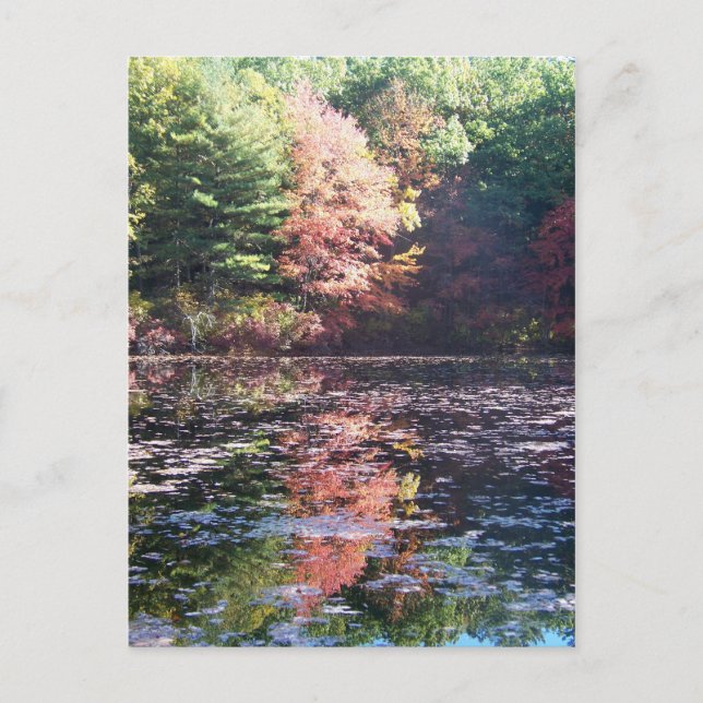 Carte Postale Réflexions sur le paysage d'automne II (Devant)