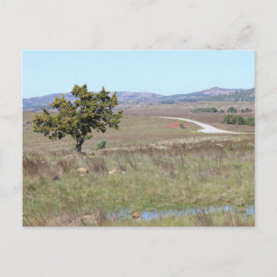 Carte Postale Refuge faunique de Witchita en Oklahoma