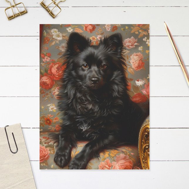 Carte Postale Regal Schipperke Chien Vintage (Créateur téléchargé)