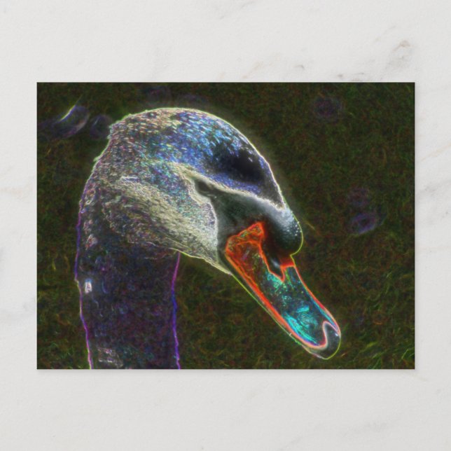 Carte Postale Regal Swan Art numérique Nature Photocard Postcard (Devant)