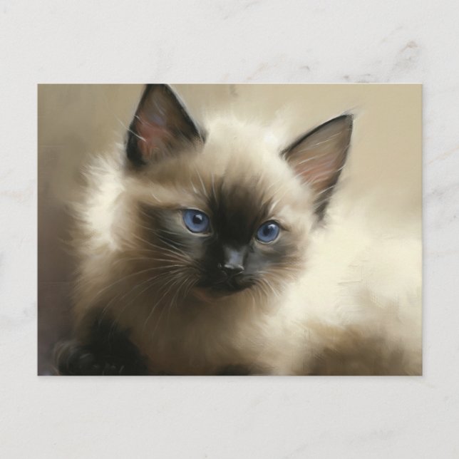 Carte Postale Regard D'Innocence Siamese Kitten Portrait (Devant)