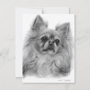 Carte Postale Regard réfléchi - Oeuvre de chien peint à la main