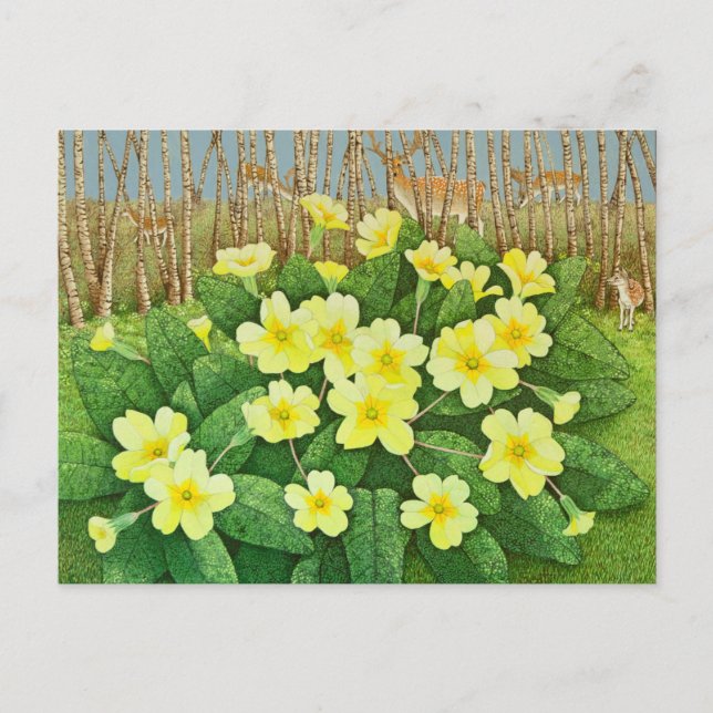 Carte Postale Regard sur l'espoir 2011 (Devant)