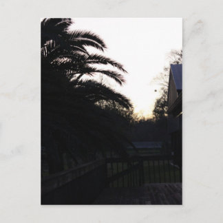 Carte Postale Regarder le coucher du soleil