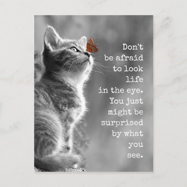 Carte Postale Regardez la vie dans les yeux Citation de motivati (Devant)