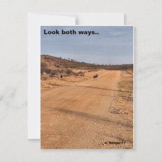 Carte Postale Regardez les deux.