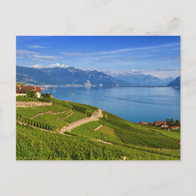 Carte Postale région de Lavaux, Vaud, HDR (Devant)