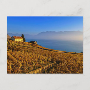 Carte Postale Région du Lavaux, Vaud, Suisse