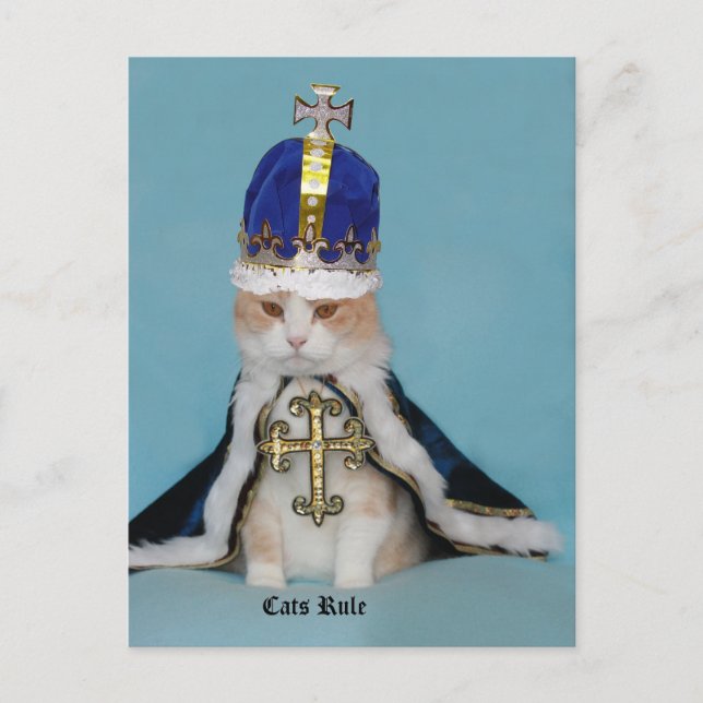 Carte Postale Règle des chats (Devant)