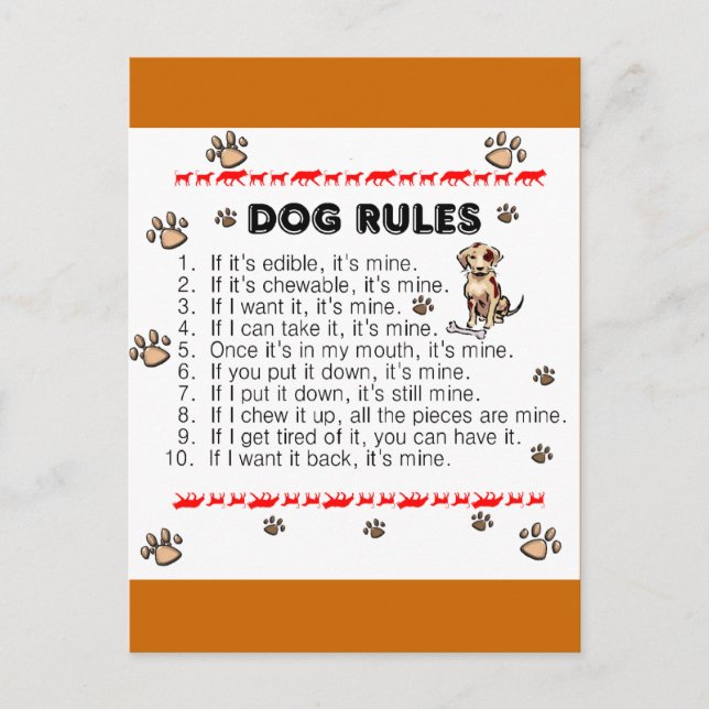 Carte Postale Règles de chien (Devant)