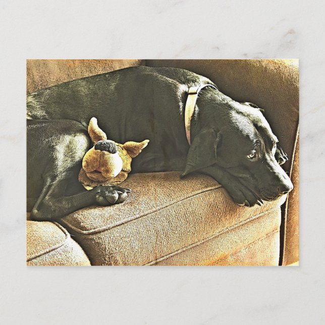 Carte Postale Regrets (Devant)