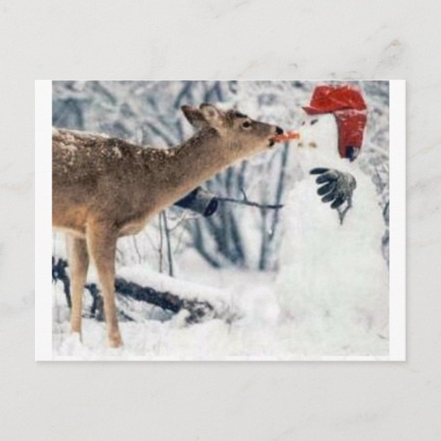 Carte Postale Reinder Manger Snowman (Devant)