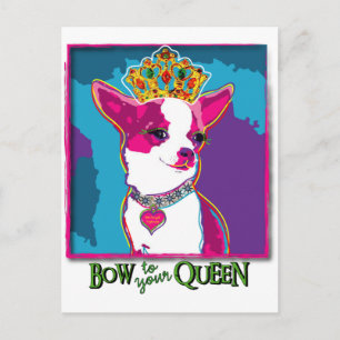 Carte Postale Reine du Chihuahua