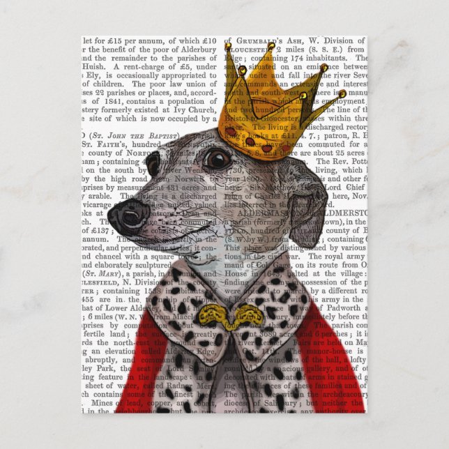 Carte Postale Reine Greyhound (Devant)