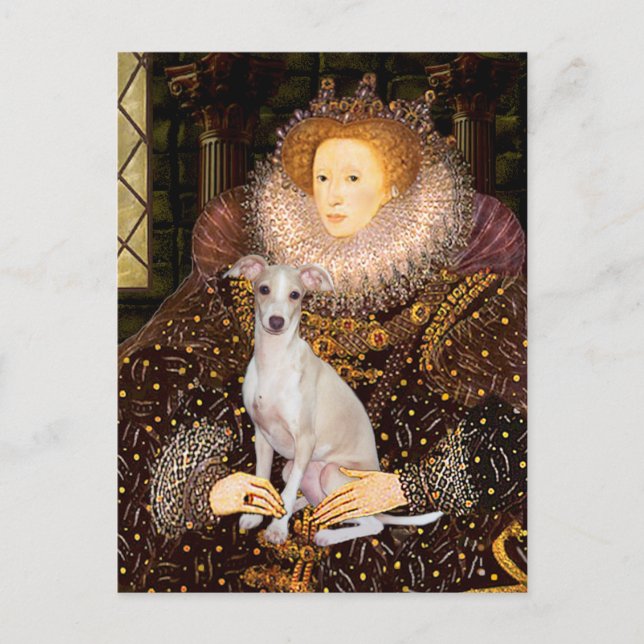 Carte Postale Reine - Italien Greyhound 7 (Devant)