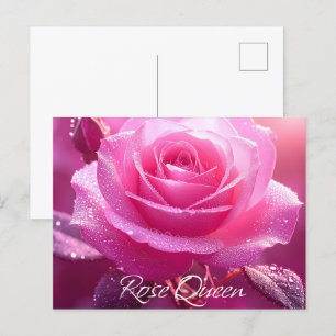 Carte Postale Reine rose (édition rose)