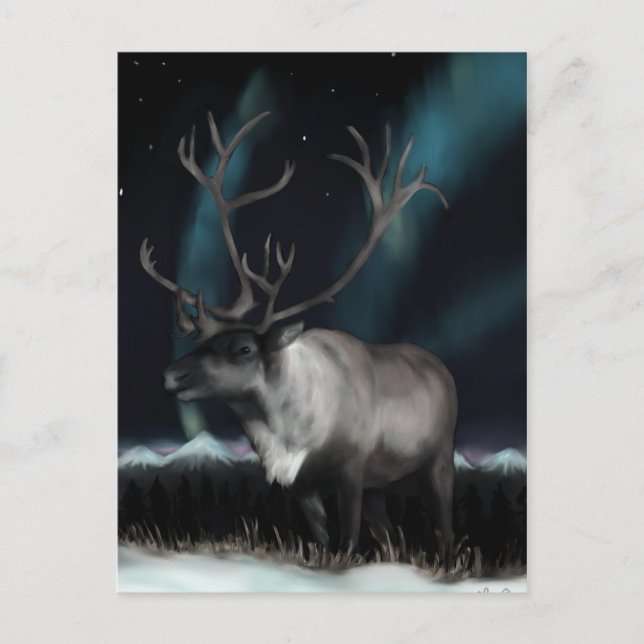 Carte postale Reinedeer of the Northern Lights (Devant)