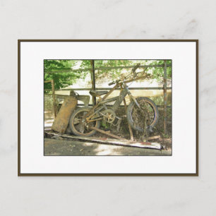 Carte Postale Rejetons