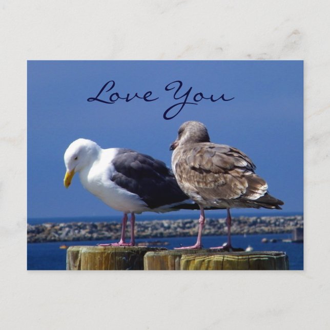 Carte Postale Relations_ (Devant)