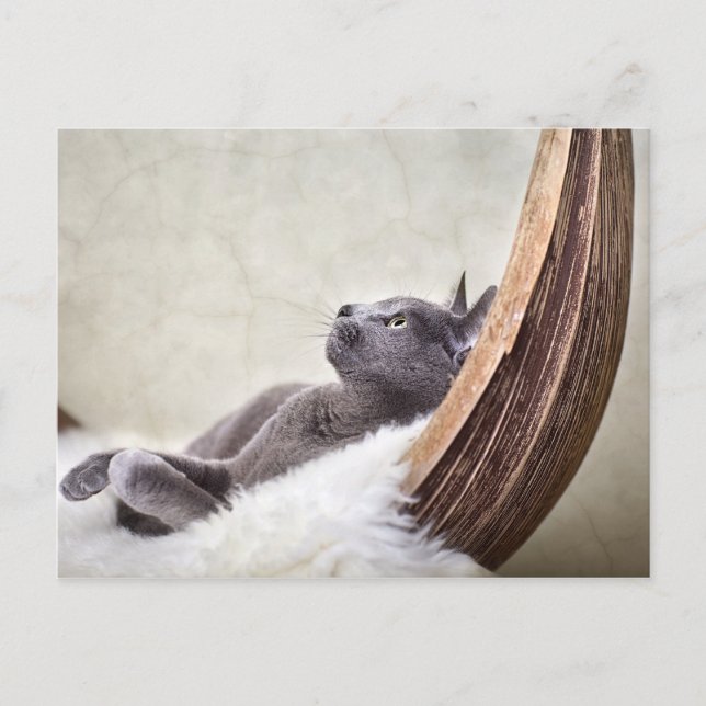 Carte Postale Relax (Devant)