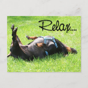 Carte Postale Relax Get Well - Dachshund - Hoover