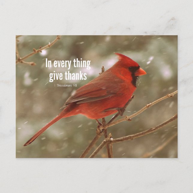 Carte Postale Remercie Bible Verse (Devant)